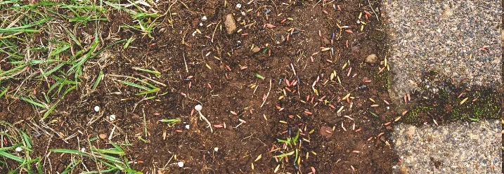 Rasensamen und Dünger auf Erde